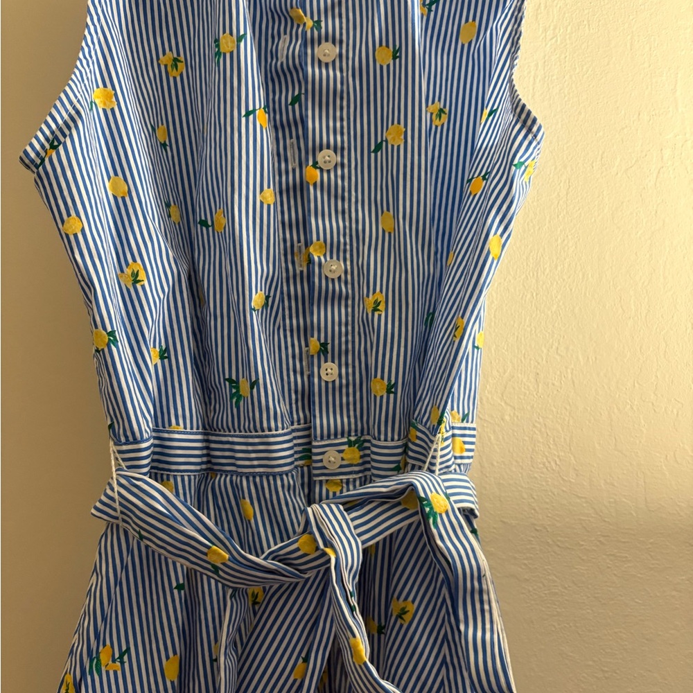 J. Crew Blue and White Striped Dress with Yellow Accents - Picture 4 of 6